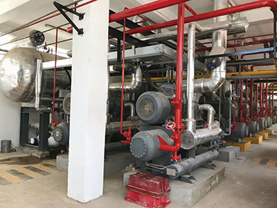 Seafood Catching & Processing