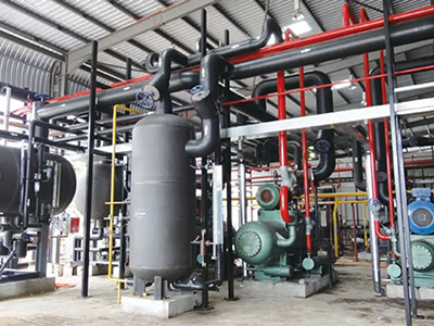 Malaysia Broiler Chicken Processing Project