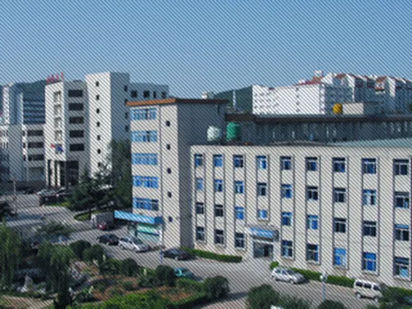 Second Startup Phase