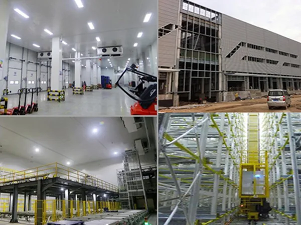 One-Stop Cold Storage Warehousing Solution