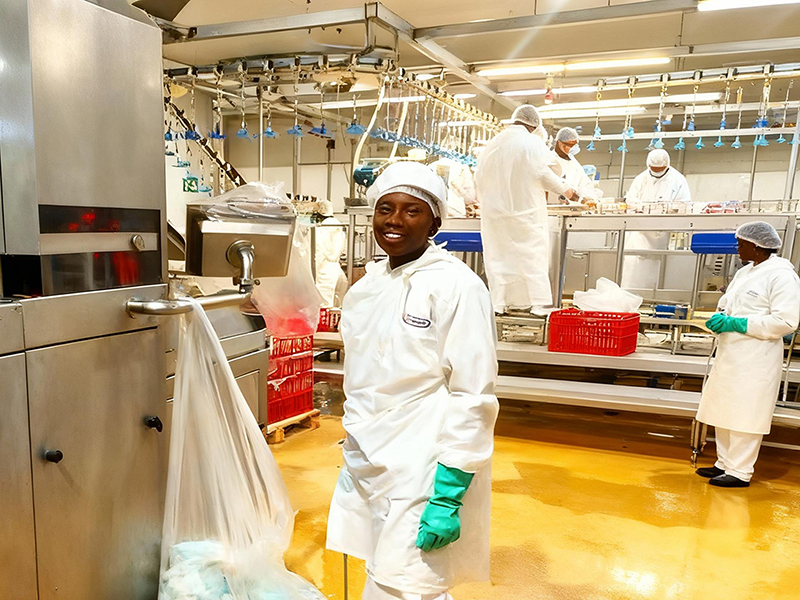 Spiral Freezing Equipment Project for BC Company, South Africa