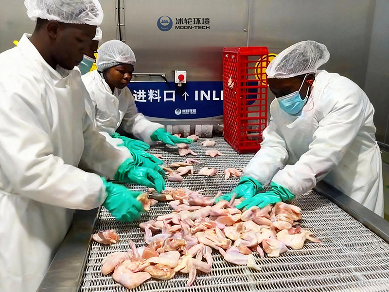 Spiral Freezing Equipment Project for BC Company, South Africa