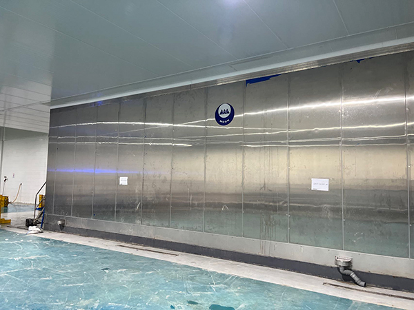 IQF Freezer for Strawberry Processing Project in Egypt