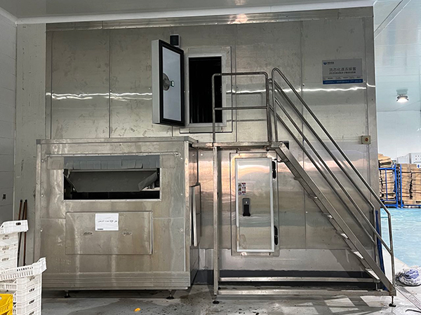 IQF Freezer for Strawberry Processing Project in Egypt