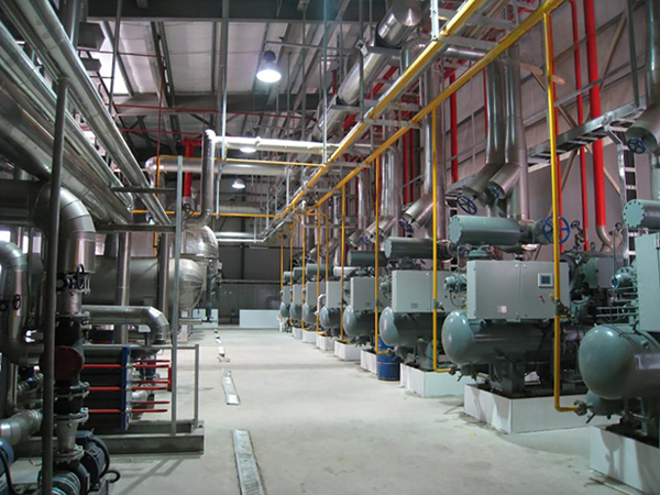 Poultry Refrigeration Project in Egypt