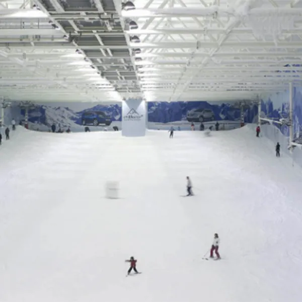 Artificial Environment (Winter Sports Simulation)