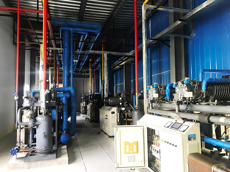 Fish Processing Project in Guyana