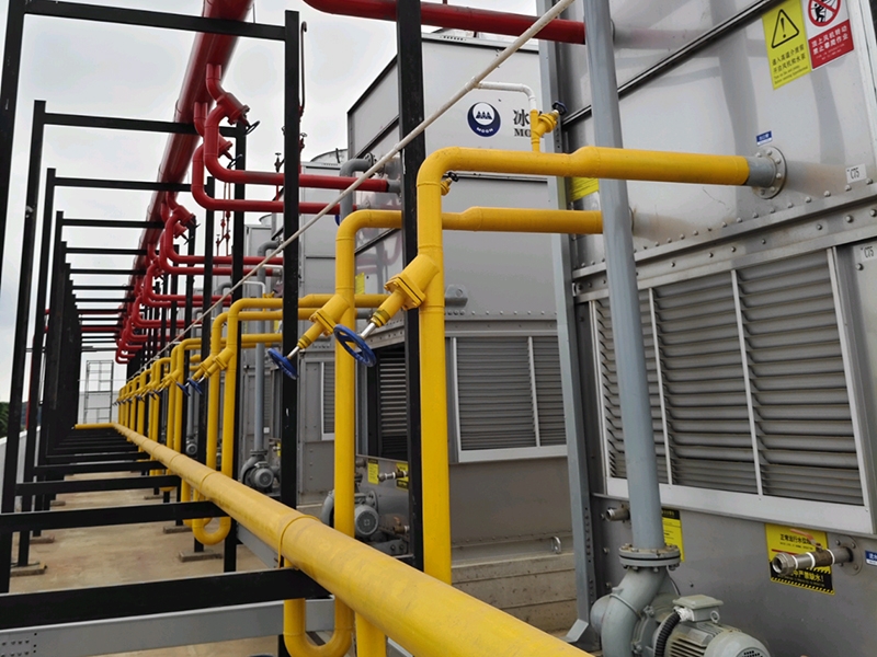 Shrimp Processing Plant Project in Ecuador