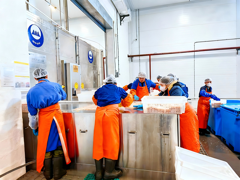 Plate Freezing & Cold Storage Project in Russia