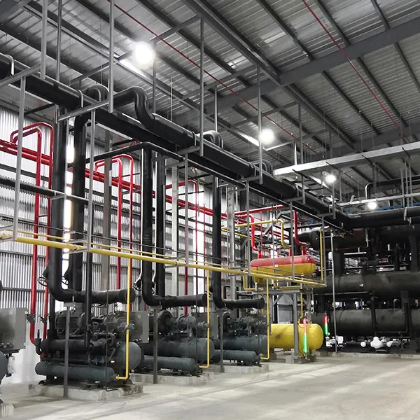 Malaysia 6000T CO₂ Cold Storage Project