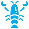 Seafood