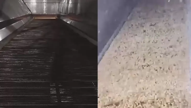 Fluidized Bed Freezer