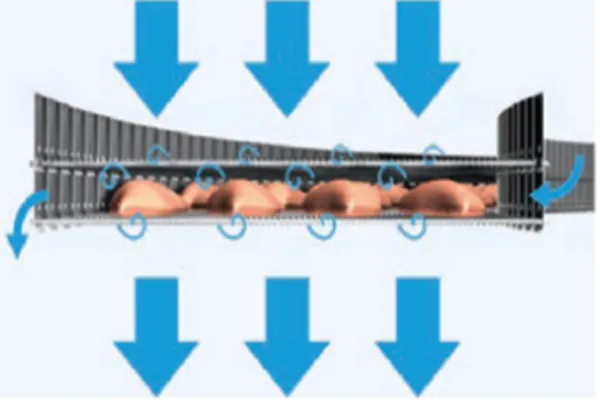 Individual Quick Freezing System